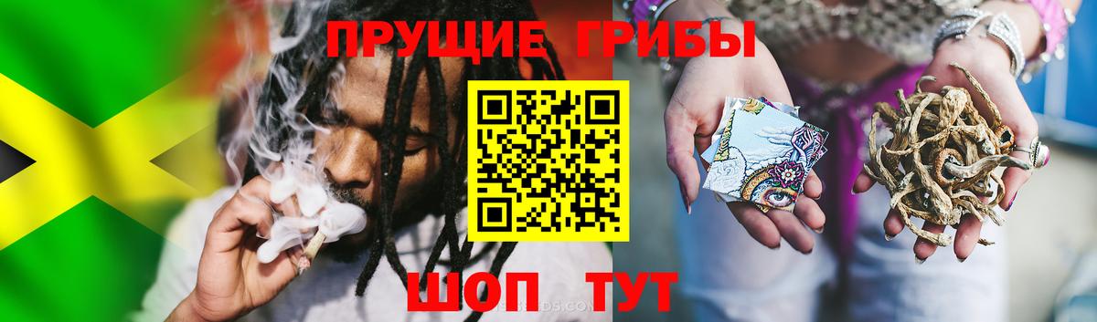 Ростов Великий  Галлюциногенные грибы MAGIC MUSHROOMS  Вход с VPN  Галлюциногенные грибы Psilocybine cubensis 